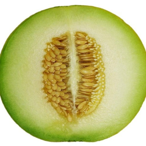 Honeydew Melon Seeds – Green Flesh