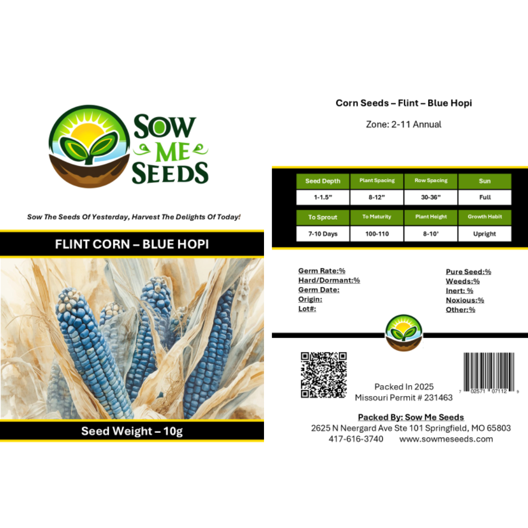 Corn Seeds - Flint - Blue Hopi