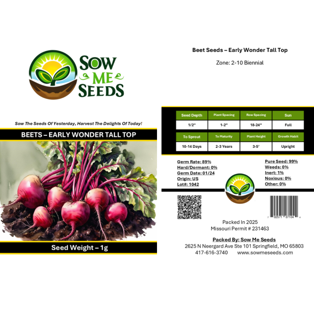 Beet Seeds – Early Wonder Tall Top