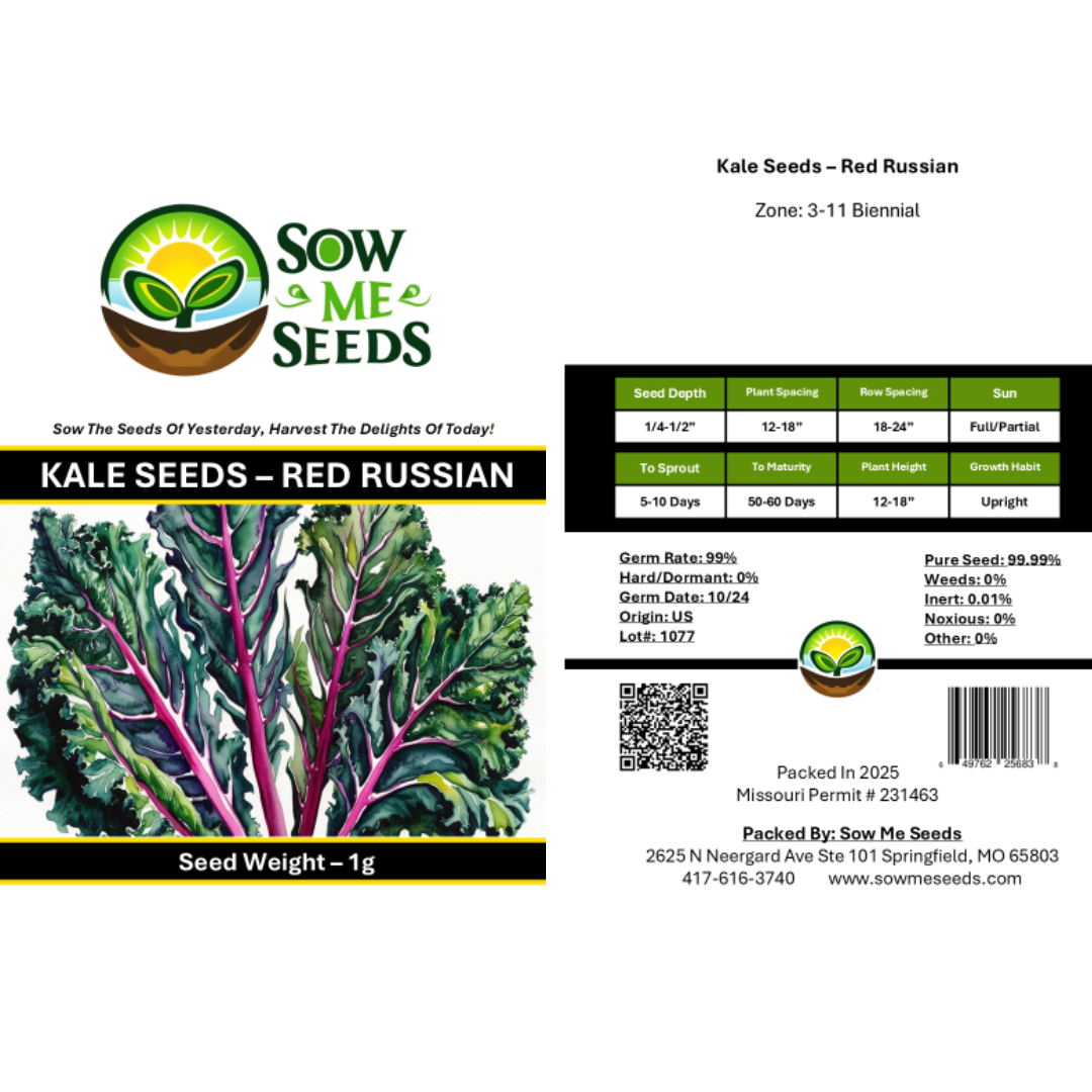 Kale Seeds – Red Russian