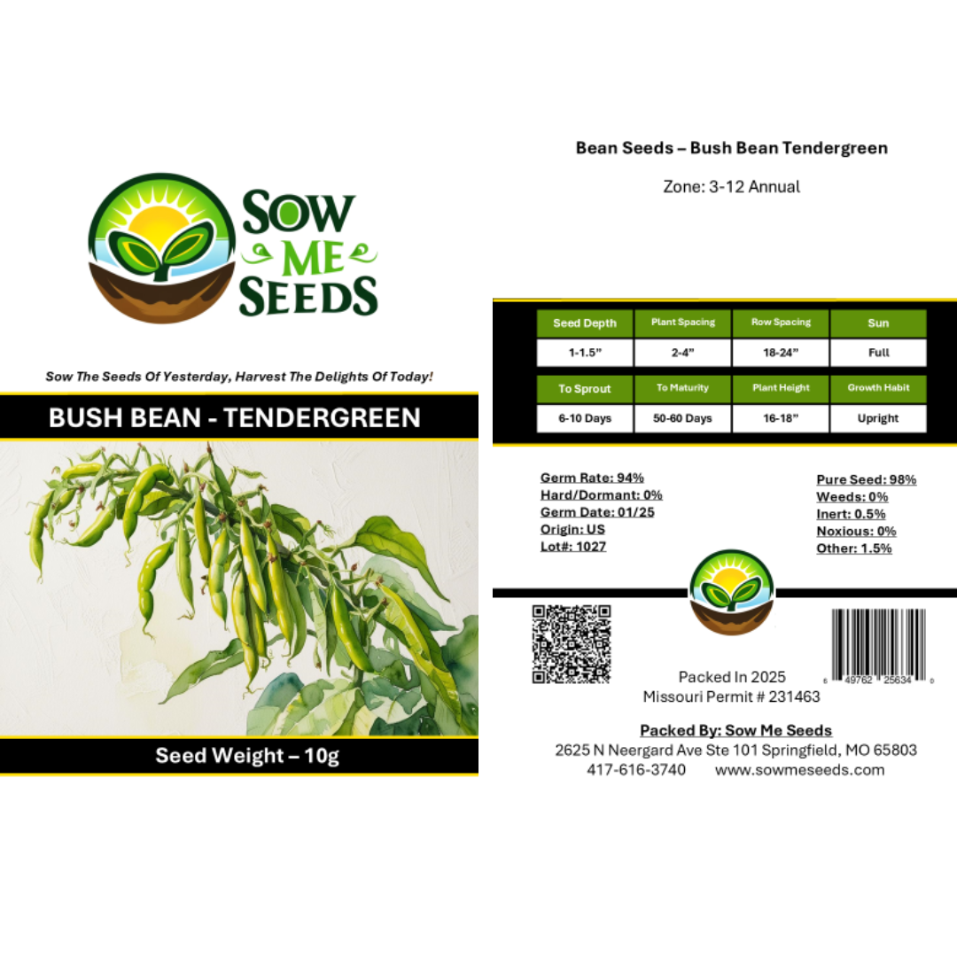 Bean Seeds – Bush - Tendergreen
