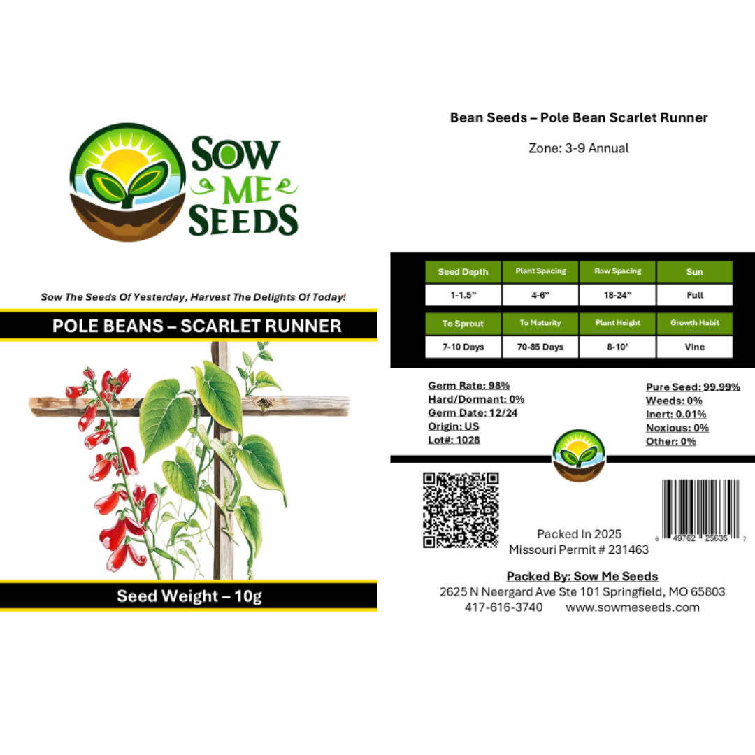 Scarlet Runner Pole Beans – Heirloom Vegetable Garden Seeds