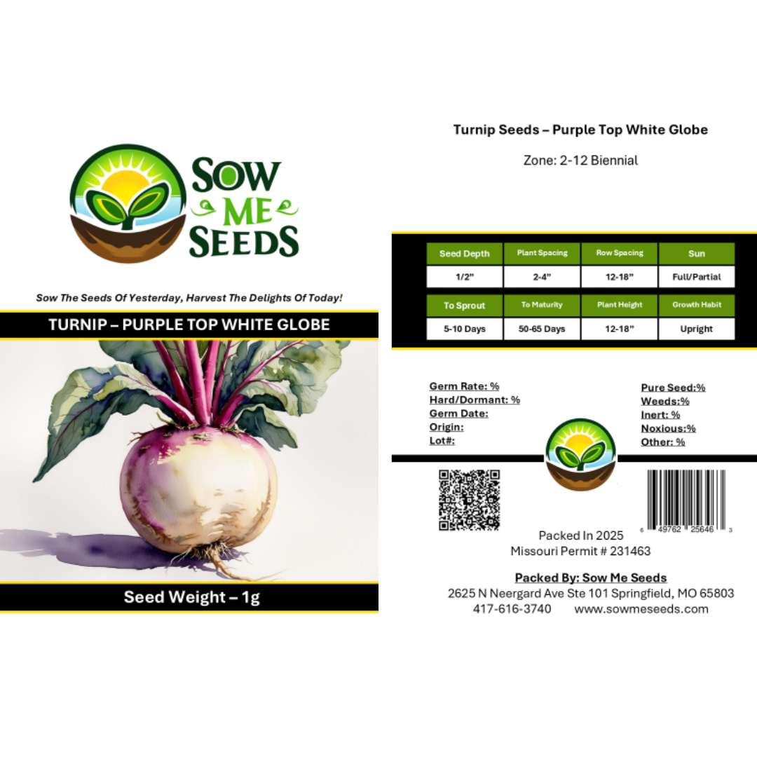 Turnip Seeds – Purple Top White Globe