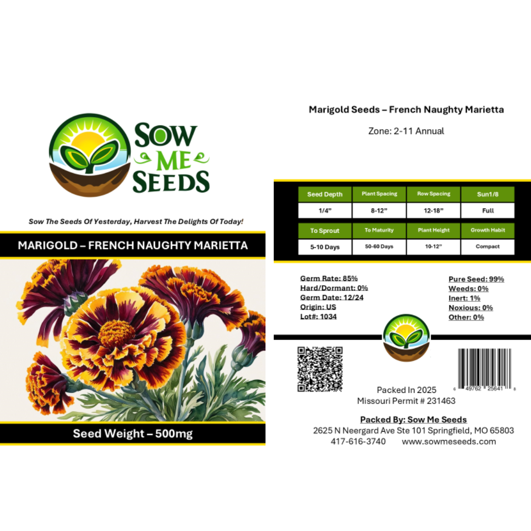 Marigold Seeds - French - Naughty Marietta