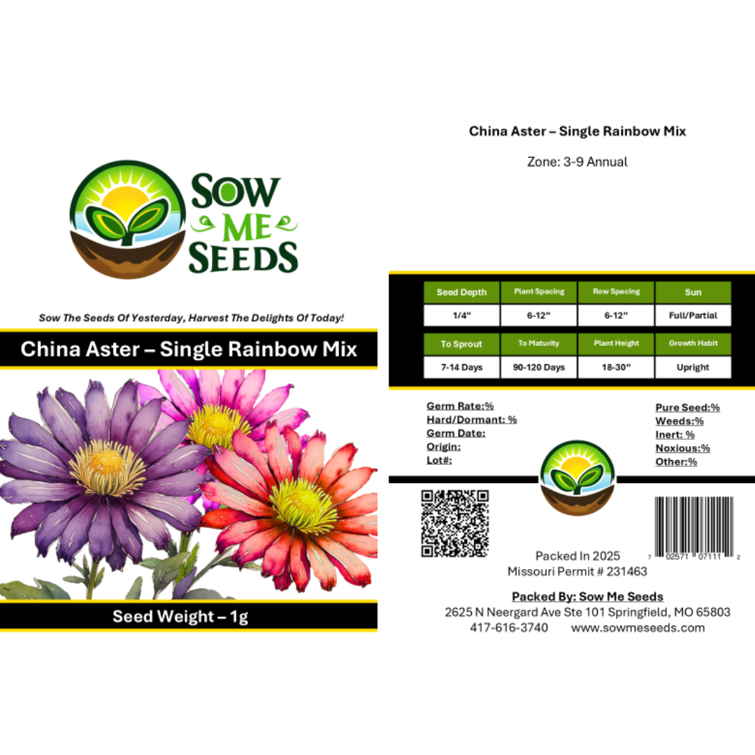 China Aster Seeds - Single Rainbow Mix