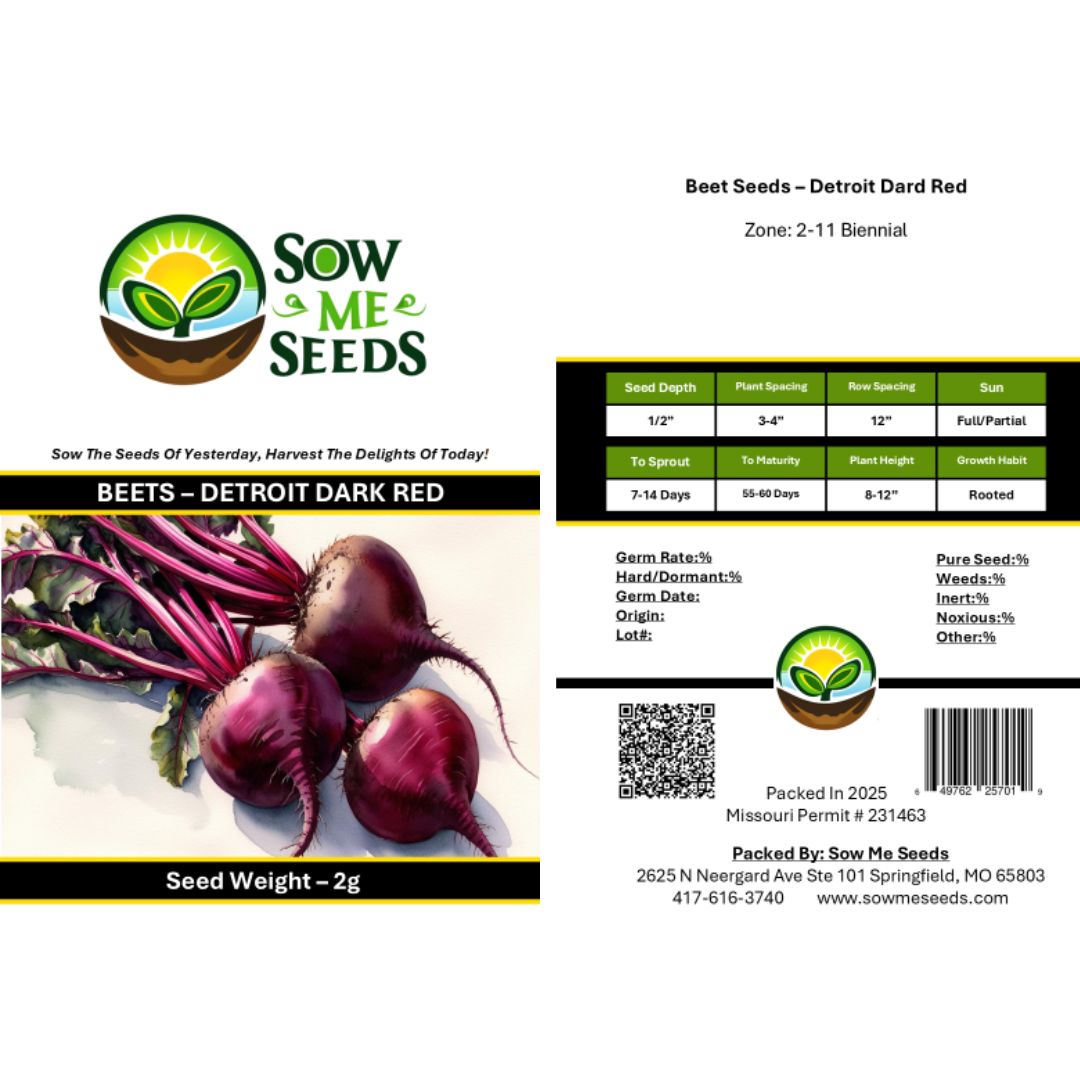 Beet Seeds – Detroit Dark Red