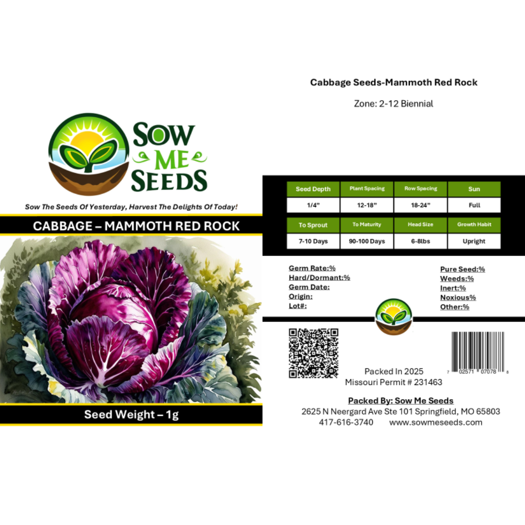 Cabbage Seeds  – Mammoth Red Rock