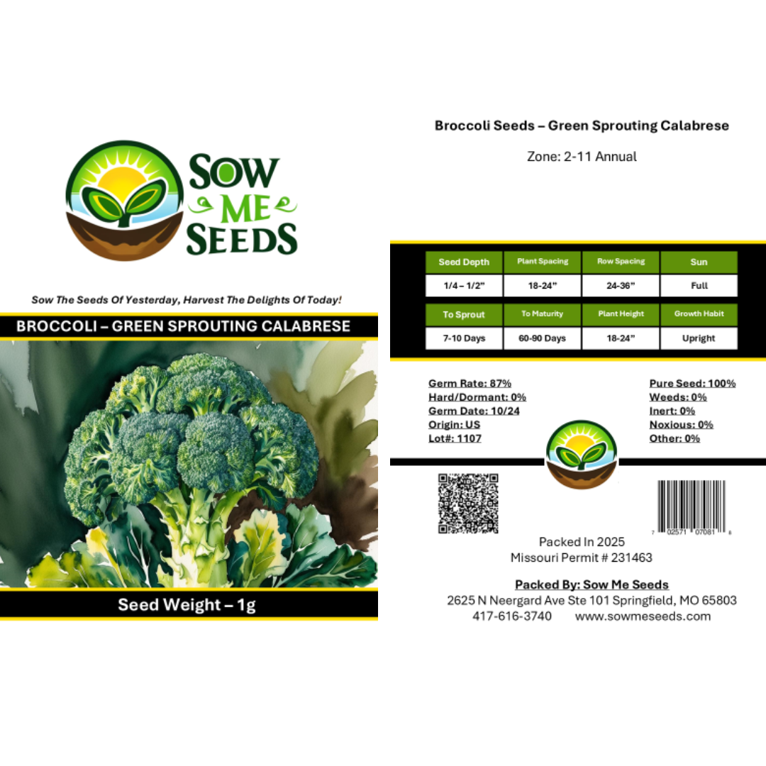 Broccoli Seeds – Green Sprouting Calabrese