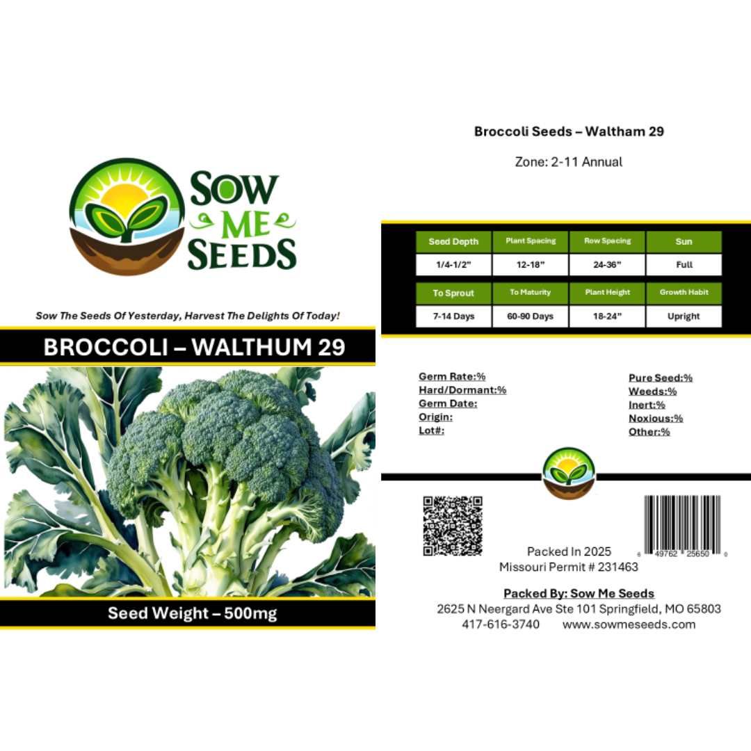 Broccoli Seeds – Waltham 29