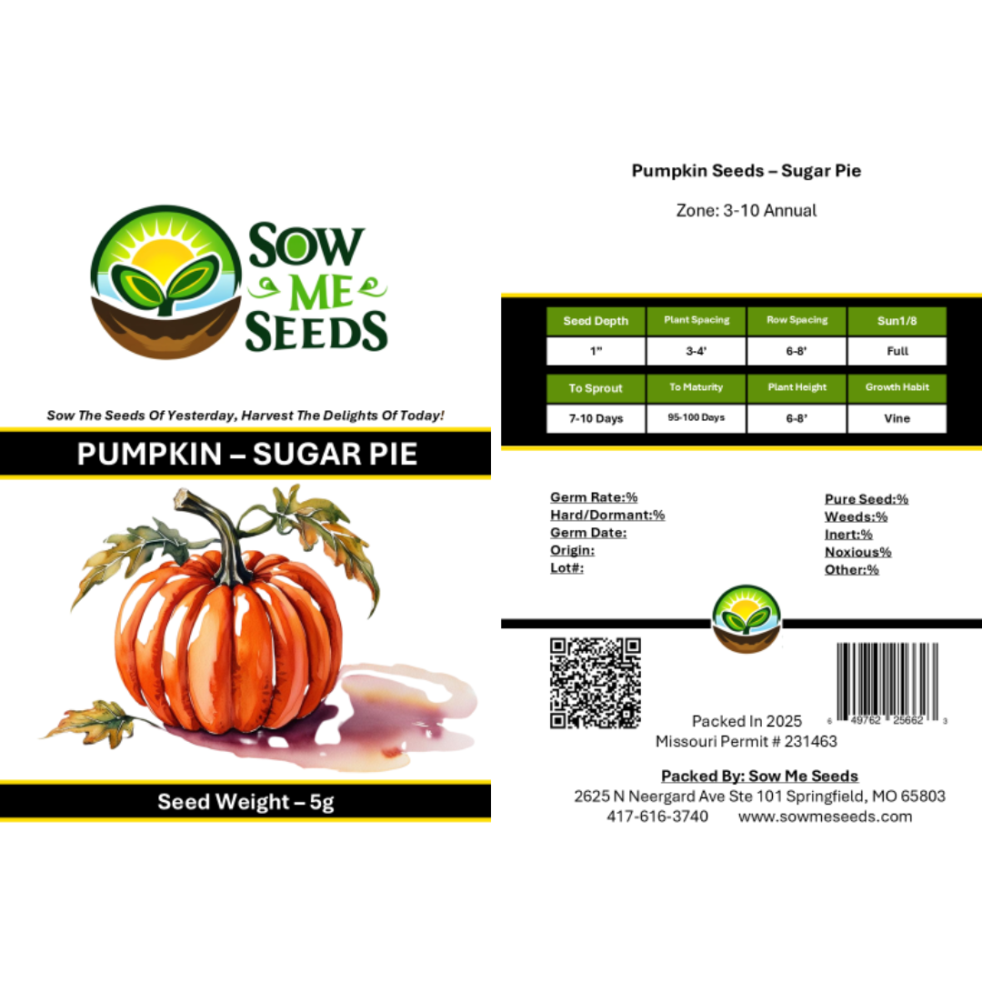 Pumpkin Seeds – Sugar Pie