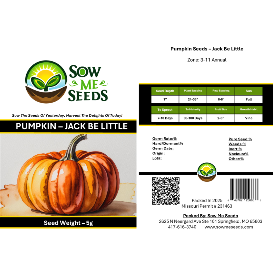 Pumpkin Seeds – Jack Be Little