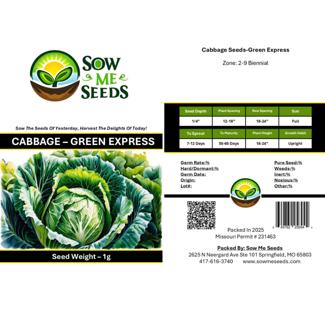Cabbage Seeds – Green Express