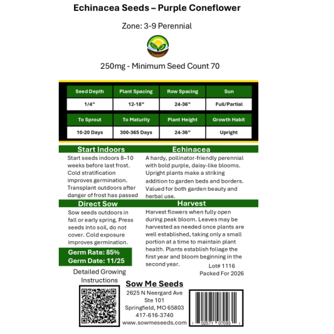 Echinacea Herb Seeds - Purple Coneflower