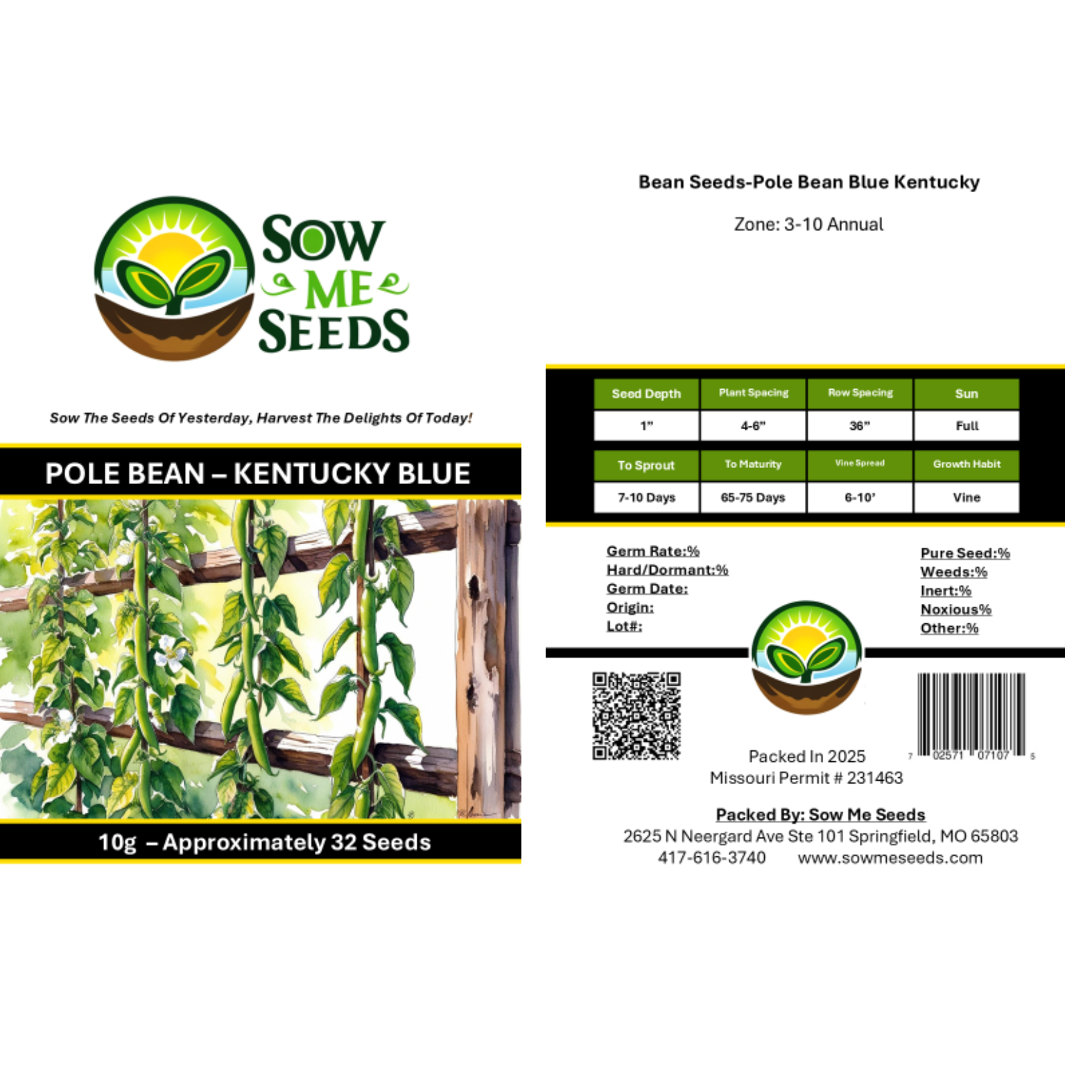 Bean Seeds - Blue Kentucky Pole