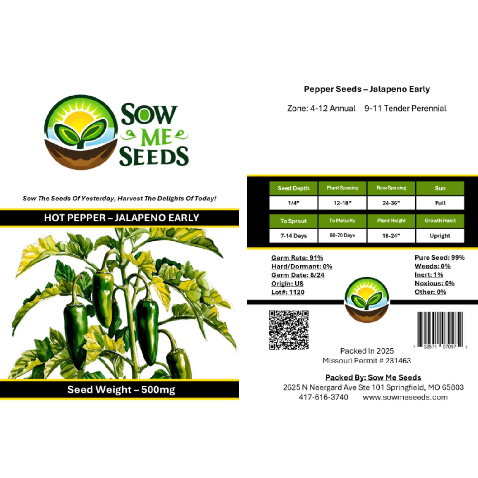 Pepper Seeds – Hot Jalapeño Early