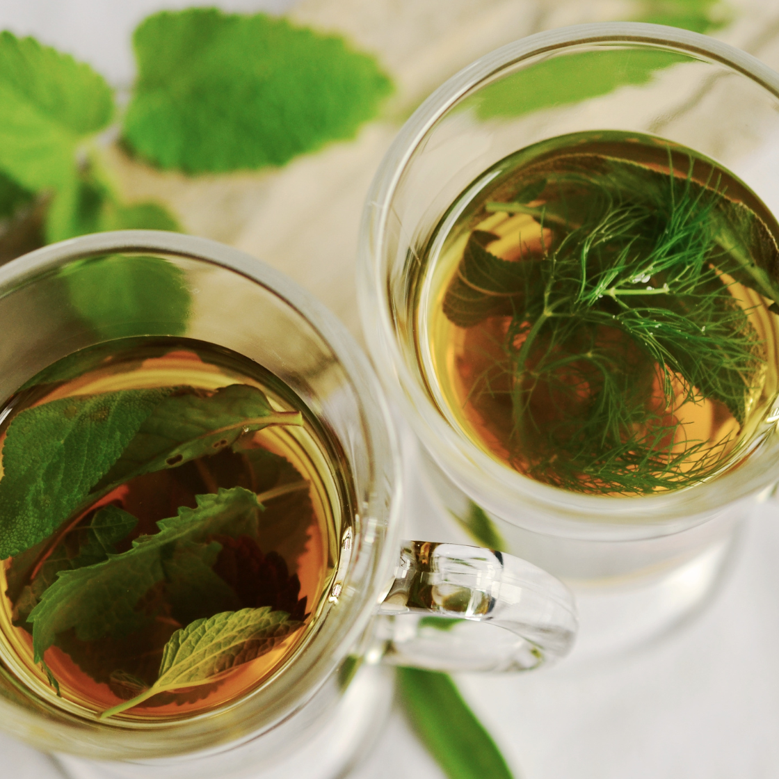 Herbal Tea