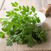 Curled Chervil – Heirloom Culinary Herb Garden Seeds