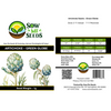 Artichoke Seeds – Green Globe
