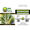 Fennel Seeds – Florence