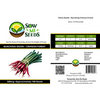 Onion Seeds - Bunching Onion - Crimson Forest