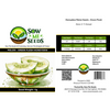 Honeydew Melon Seeds – Green Flesh