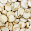 Corn Seeds – Sweet Country Gentleman