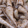 Parsnip Seeds – All American
