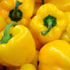 Pepper Seeds – Sweet Bell - Sunbright