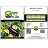 Eggplant – Long Purple