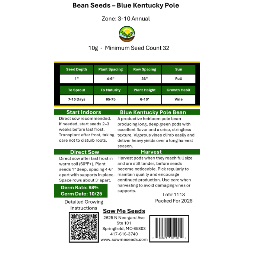 Bean Seeds - Blue Kentucky Pole