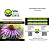 Echinacea Herb Seeds - Purple Coneflower